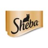 SHEBA