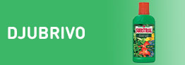 Djubrivo