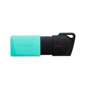 KINGSTON USB Flash 256GB DTXM/256GB USB 3.2