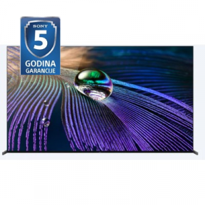 SONY OLED TV 4K Ultra HD XR65A90JCEP Smart