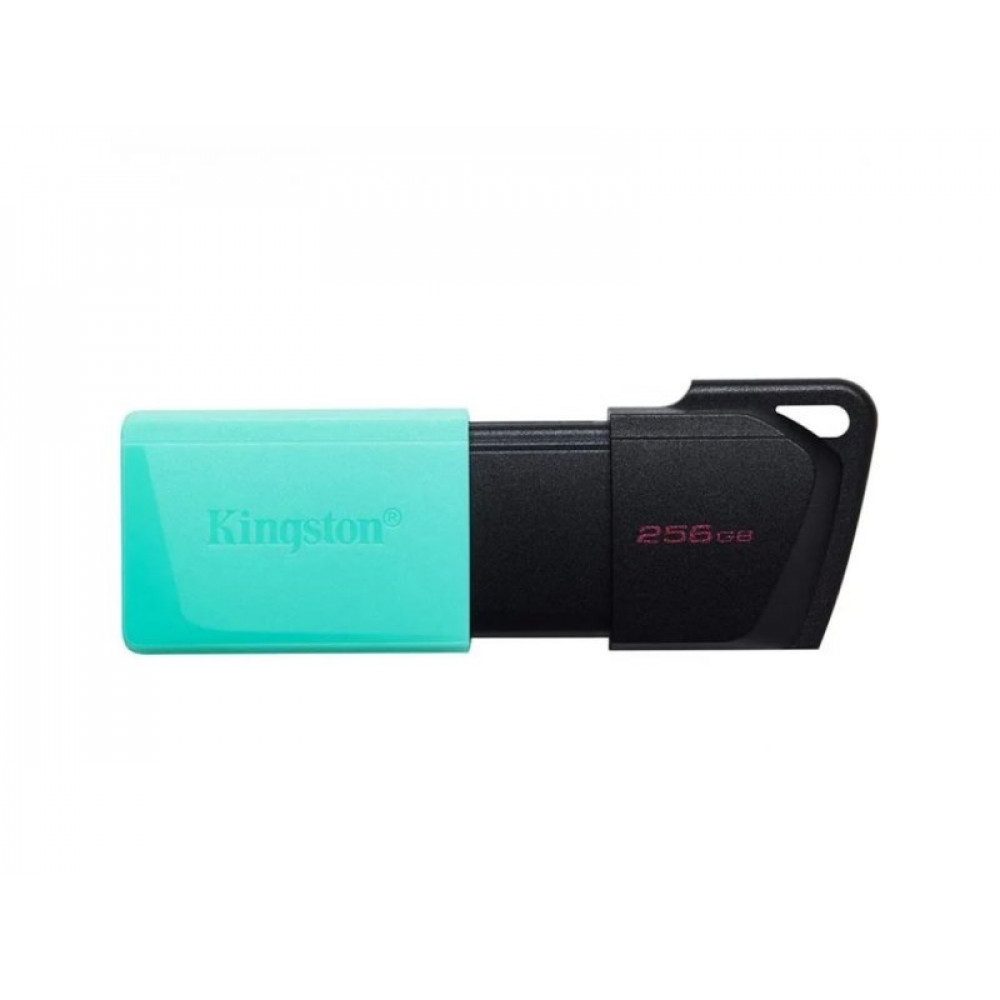 KINGSTON USB Flash 256GB DTXM/256GB USB 3.2