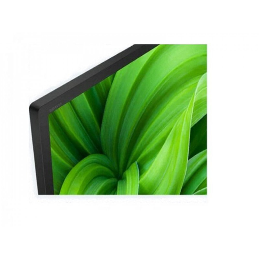 Sony Televizor KD32W800P1AEP