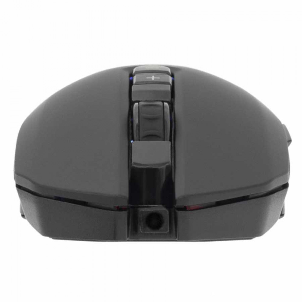 WHITE SHARK GM 5011 GRIFLET, Mouse Black