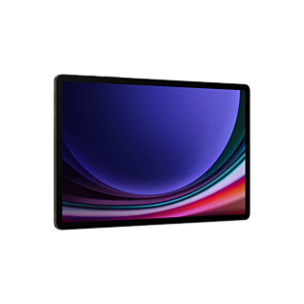 SAMSUNG Tablet S9 Plus 12/256 Sivi-WiFi 