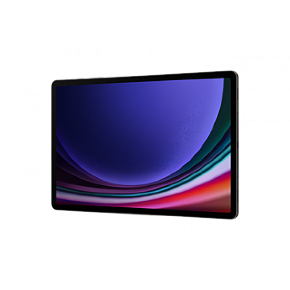 SAMSUNG Tablet S9 Plus 12/256 Sivi-WiFi 