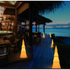 AQUALIGHT LED Dekorativna rasveta - Pinus (jelka)