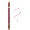 L'OREAL Paris Color Riche Olovke za usne Couture 302 Bois de Rose 1100029001