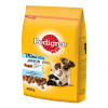 PEDIGREE hrana za pse, Junior piletina 400g 520228
