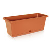 ŽARDINJERA CAMELIA 50X18X17CM TERAKOTA PR DCM500-R624