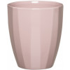 SCHEURICH SAKSIJA ZA ORHIDEJE 639/14 ROSE ELEGANCE SH 62315